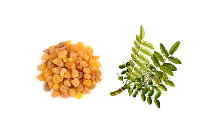 FRANKINCENSE