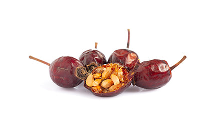 ROSEHIP SEED OIL